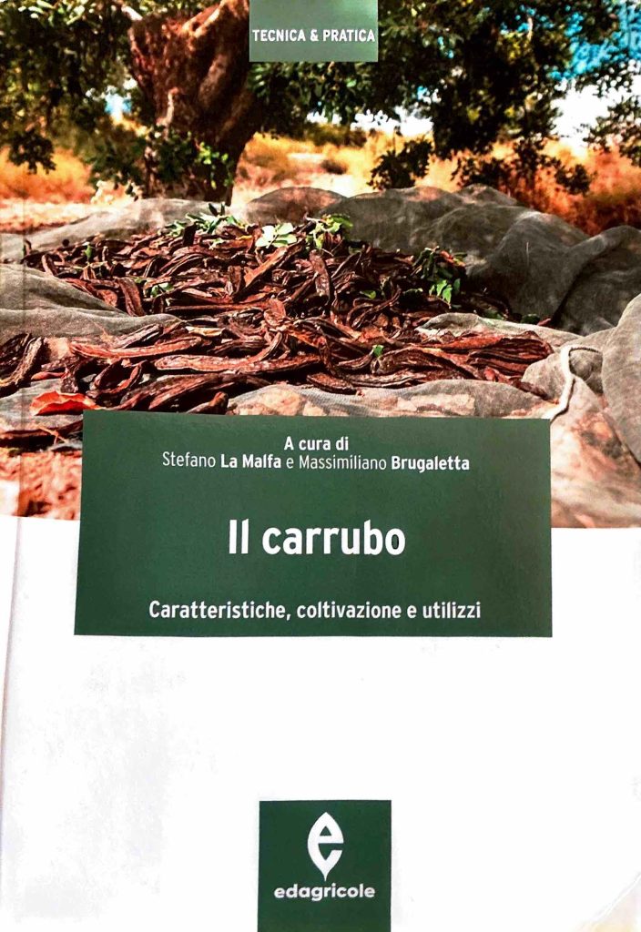 Il Carrubo- caratteristiche, coltivazioni e utilizzi