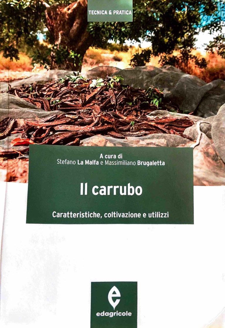 Il Carrubo- caratteristiche, coltivazioni e utilizzi