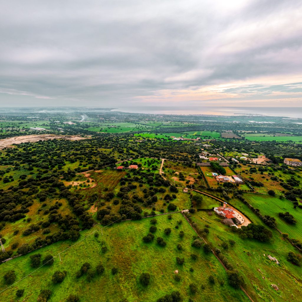 DJI_20251229103517_0045_D